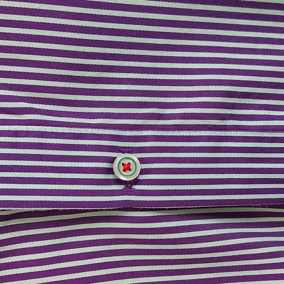 Robert Graham Mint/Purple Striped Long Sleeve Button Down Shirt Size L - Picture 8 of 9